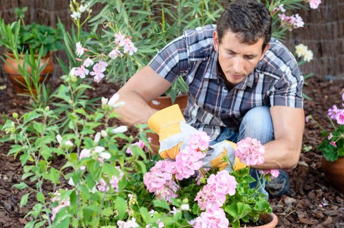 Experienced gardeners working in a London garden